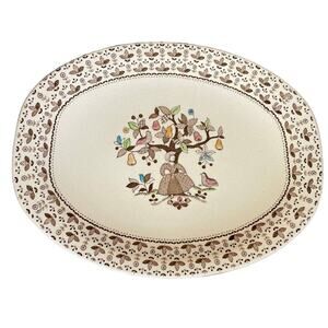 Johnson Brothers Sugar & Spice Oval Serving Platter Brown Ironstone Vtg England